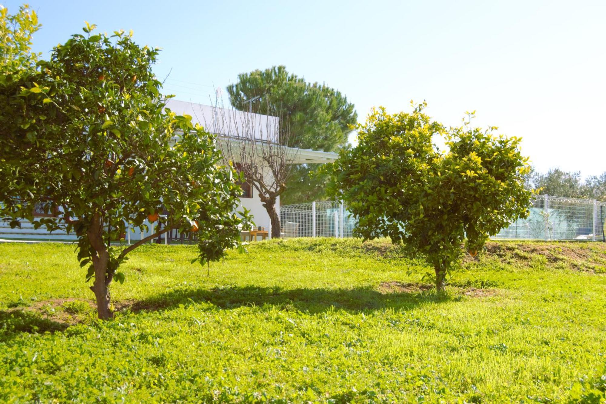 La Casa Del Carreron Vila Montilla Exterior foto